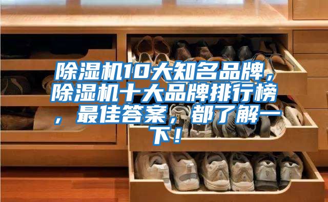 除濕機10大知名品牌，除濕機十大品牌排行榜，最佳答案，都了解一下！