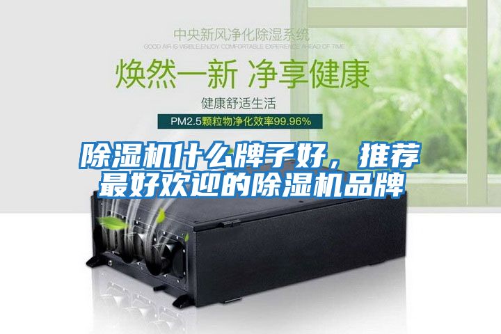 除濕機什么牌子好，推薦最好歡迎的除濕機品牌