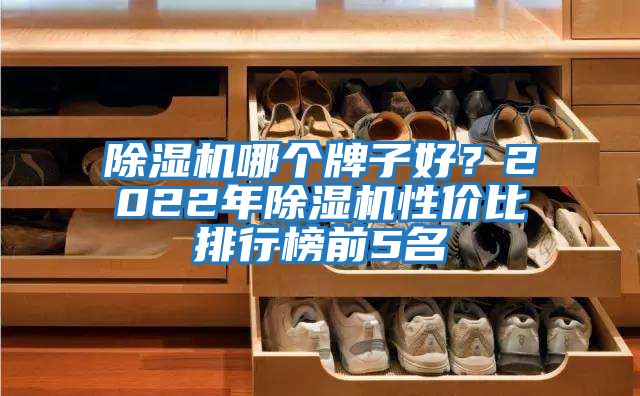 除濕機哪個牌子好？2022年除濕機性價比排行榜前5名