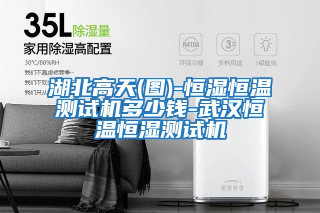 湖北高天(圖)-恒濕恒溫測(cè)試機(jī)多少錢(qián)-武漢恒溫恒濕測(cè)試機(jī)