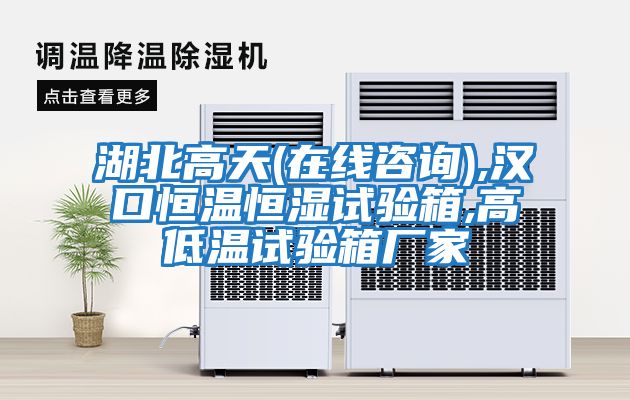 湖北高天(在線(xiàn)咨詢(xún)),漢口恒溫恒濕試驗(yàn)箱,高低溫試驗(yàn)箱廠(chǎng)家