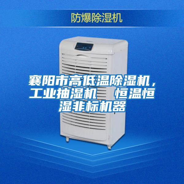 襄陽市高低溫除濕機，工業抽濕機  恒溫恒濕非標機器