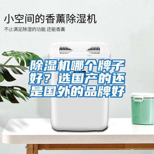 除濕機(jī)哪個牌子好？選國產(chǎn)的還是國外的品牌好