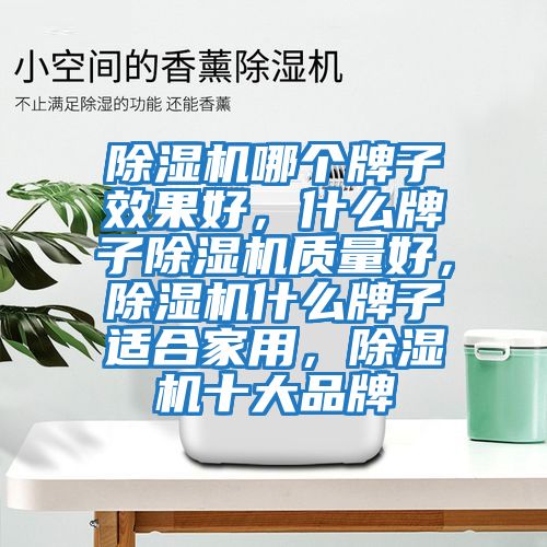 除濕機哪個牌子效果好，什么牌子除濕機質量好，除濕機什么牌子適合家用，除濕機十大品牌