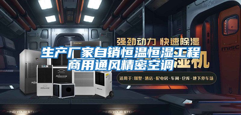 生產廠家自銷恒溫恒濕工程商用通風精密空調
