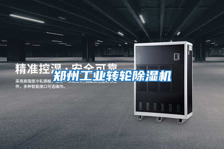 鄭州工業(yè)轉(zhuǎn)輪除濕機