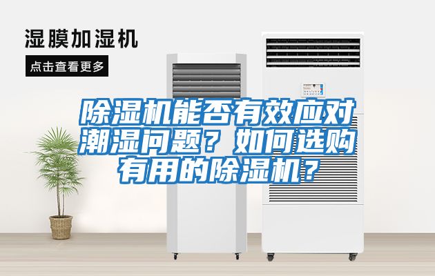 除濕機能否有效應(yīng)對潮濕問題？如何選購有用的除濕機？