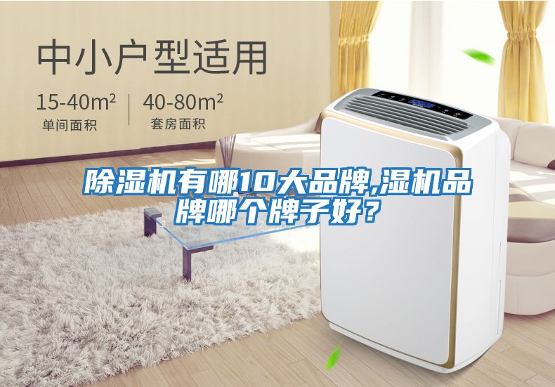 除濕機(jī)有哪10大品牌,濕機(jī)品牌哪個(gè)牌子好？