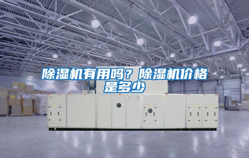 除濕機有用嗎？除濕機價格是多少