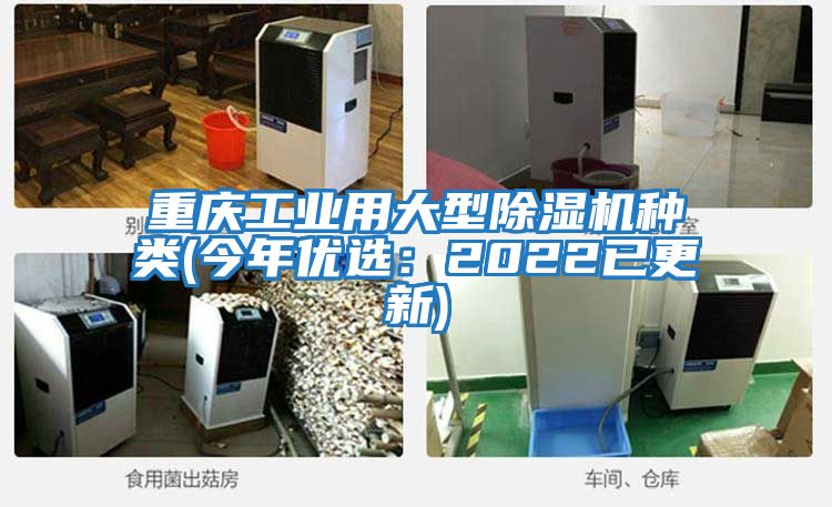 重慶工業用大型除濕機種類(今年優選：2022已更新)