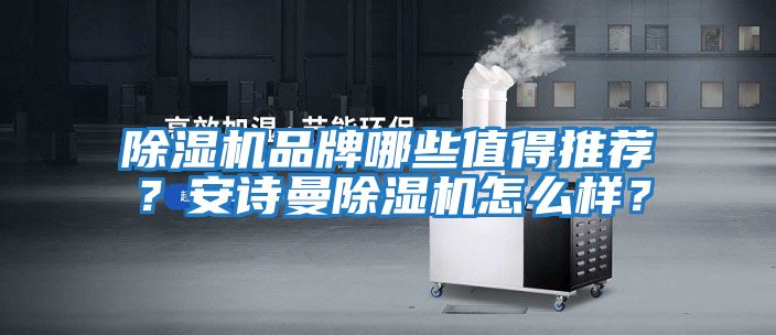 除濕機品牌哪些值得推薦？安詩曼除濕機怎么樣？