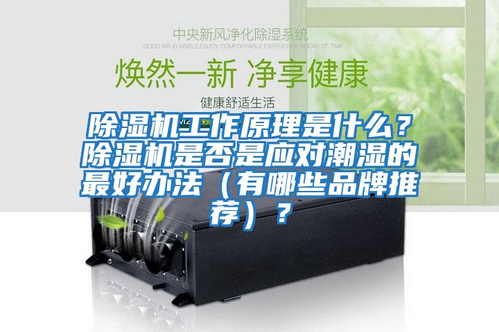 除濕機(jī)工作原理是什么？除濕機(jī)是否是應(yīng)對潮濕的最好辦法（有哪些品牌推薦）？