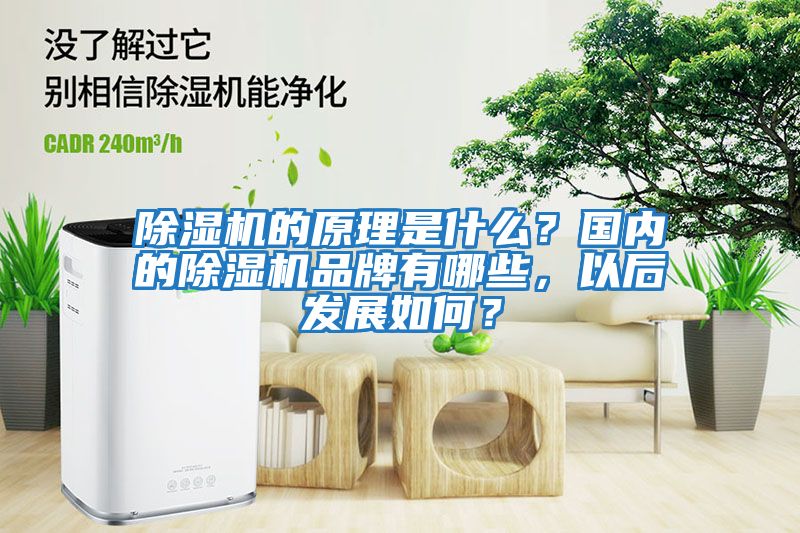除濕機的原理是什么？國內的除濕機品牌有哪些，以后發展如何？