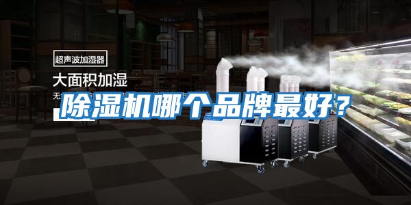 除濕機哪個品牌最好？