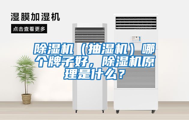 除濕機（抽濕機）哪個牌子好，除濕機原理是什么？
