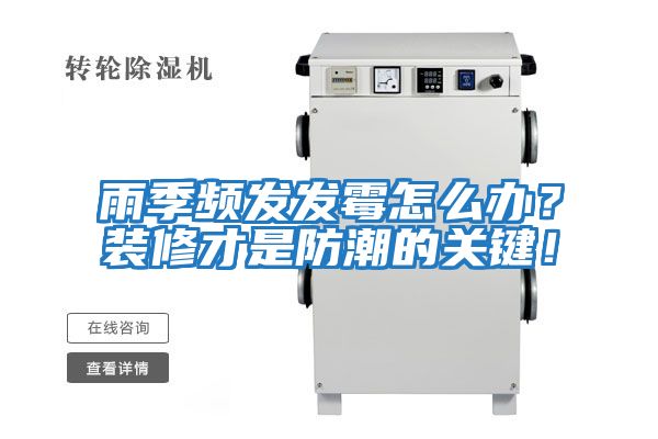 雨季頻發(fā)發(fā)霉怎么辦？裝修才是防潮的關鍵！