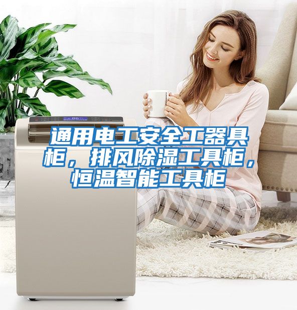 通用電工安全工器具柜，排風除濕工具柜，恒溫智能工具柜