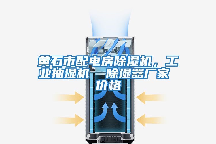 黃石市配電房除濕機，工業抽濕機  除濕器廠家 價格