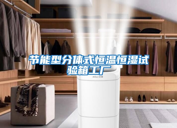 節(jié)能型分體式恒溫恒濕試驗(yàn)箱工廠
