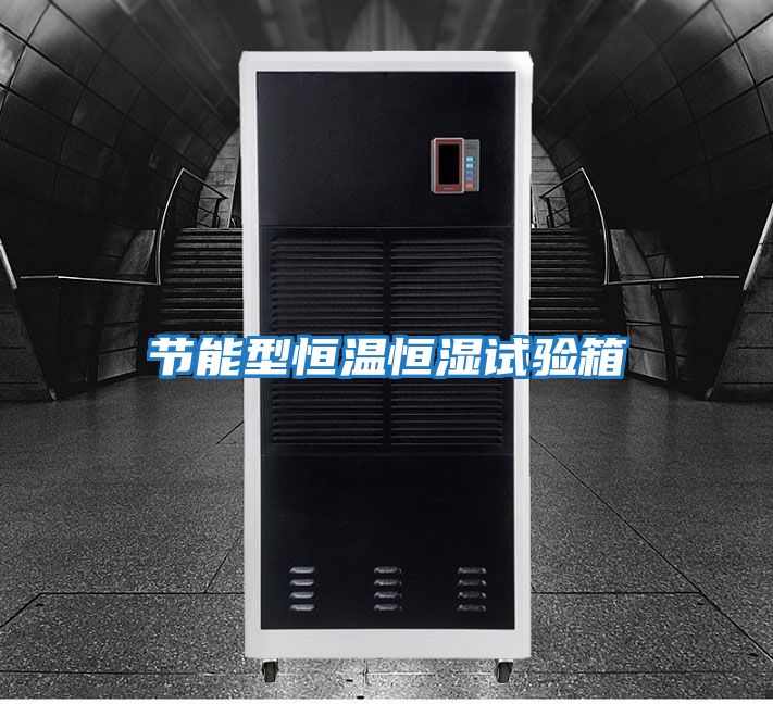 節能型恒溫恒濕試驗箱