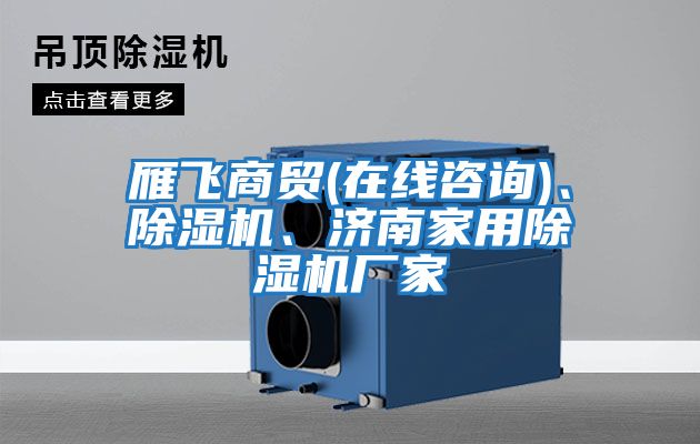 雁飛商貿(在線咨詢)、除濕機、濟南家用除濕機廠家
