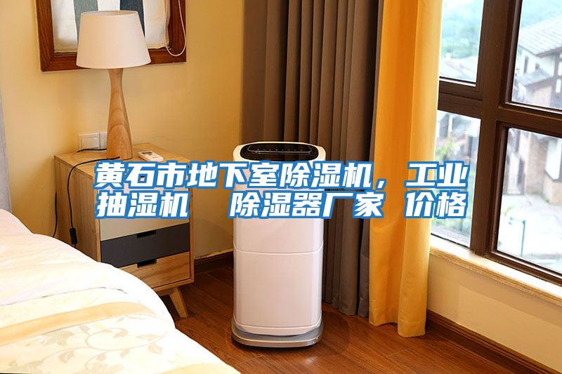黃石市地下室除濕機，工業抽濕機  除濕器廠家 價格