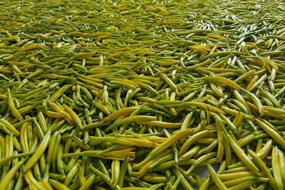 無硫金針菜烘干如何保持品相?不發(fā)黑?_除濕機(jī)廠家